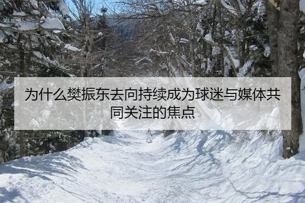为什么樊振东去向持续成为球迷与媒体共同关注的焦点